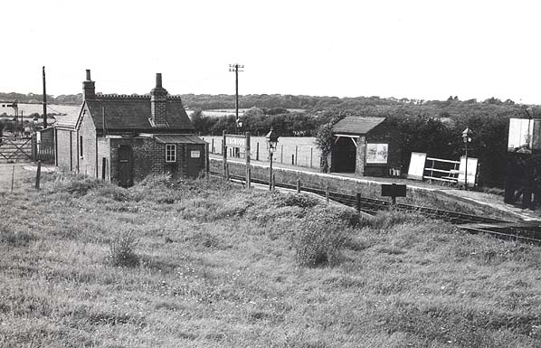 Ningwood Old1