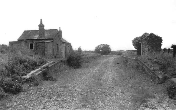 Ningwood(bill Rawlinson1964)8