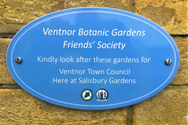 Ventnorplaque