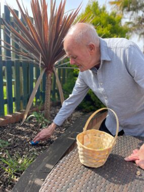 Eater Harold Hunting Eggs