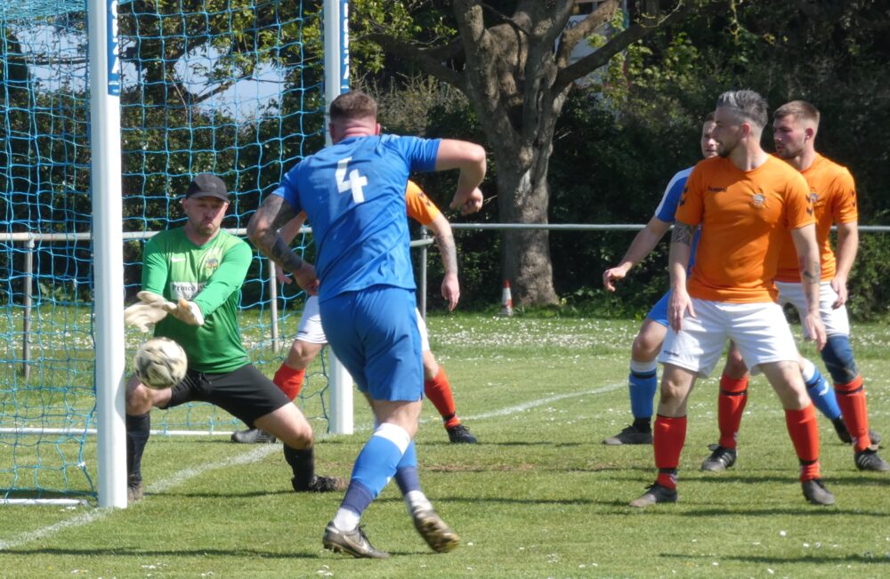 Shanklin V Ecs (save)