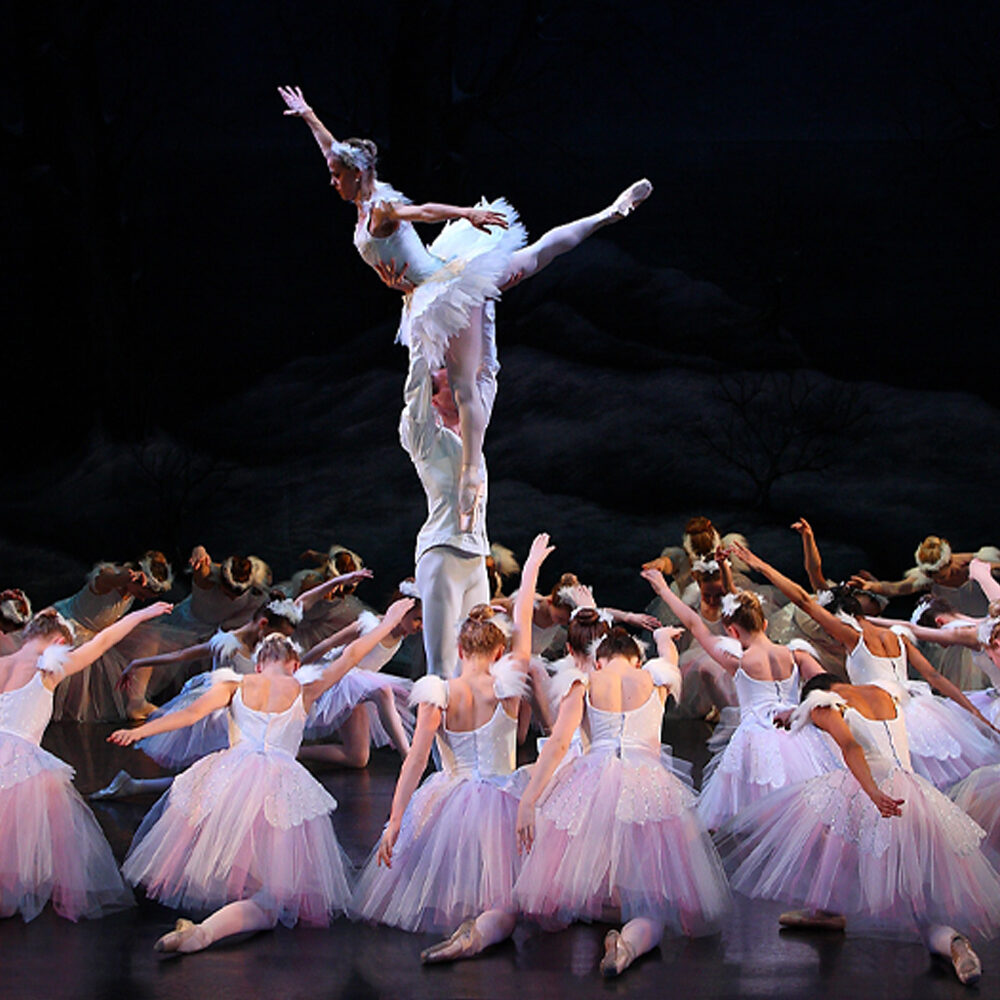 Swan Lake - Website Production Image 2