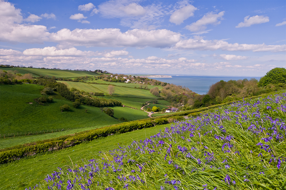 Luccombe