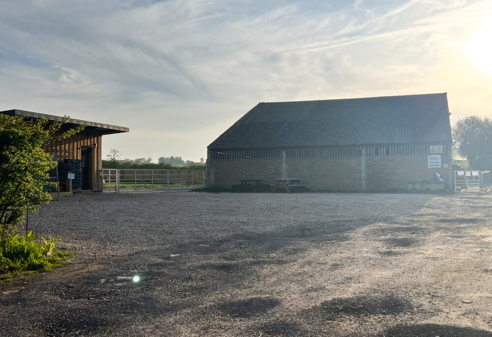 2 HOSPITALISED AND OTHERS UNWELL AFTER VISITING POPULAR RYDE FARM ...