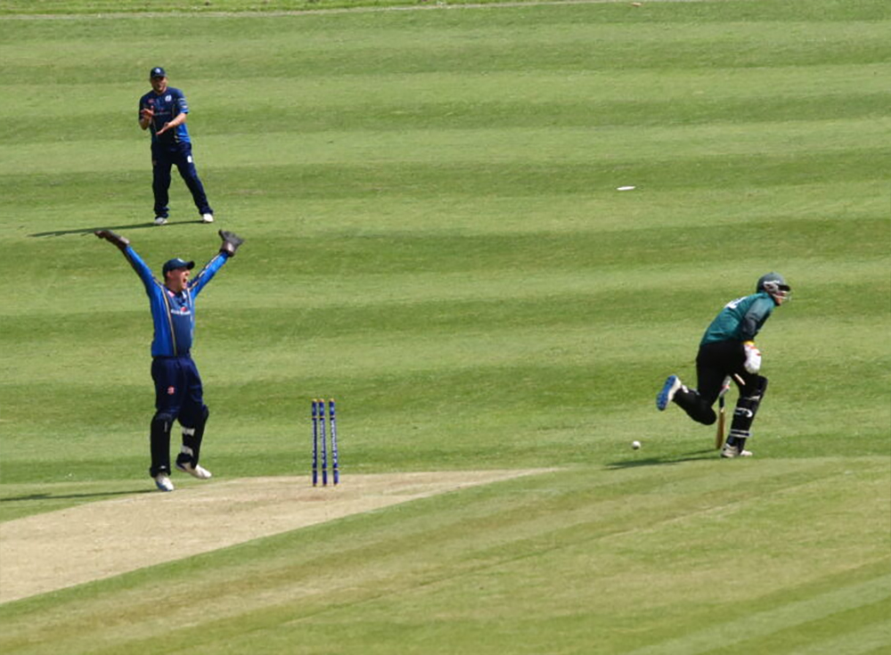 Cricket2