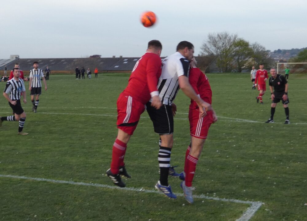 High Park V Niton