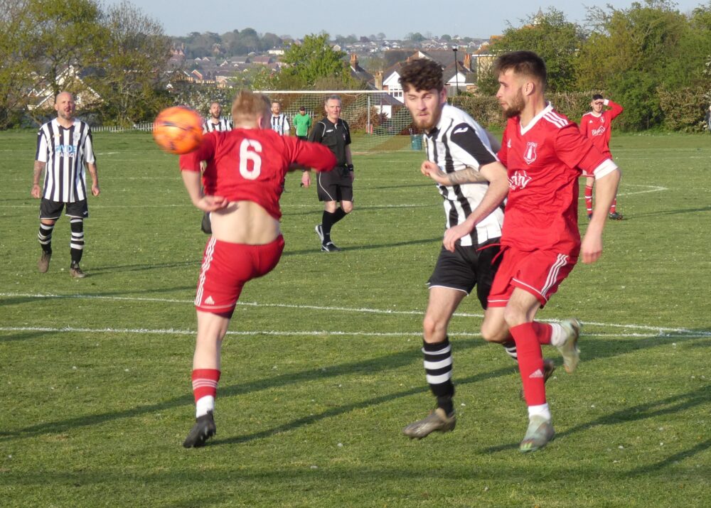 Niton V High Park (1)