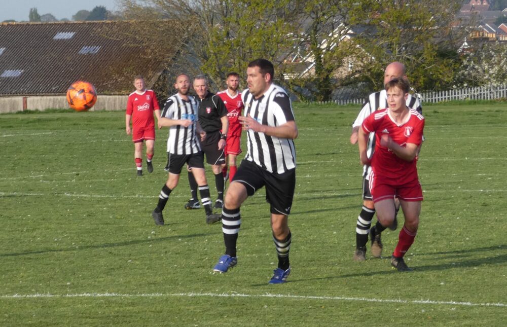 Niton V High Park
