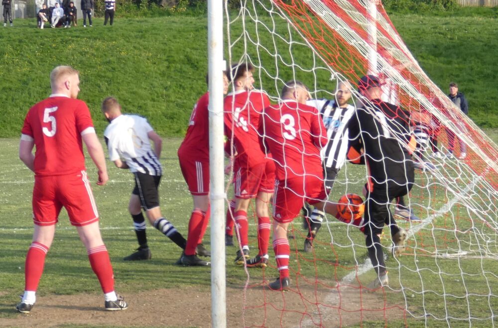 Niton V High Park - Did Ball Cross Line