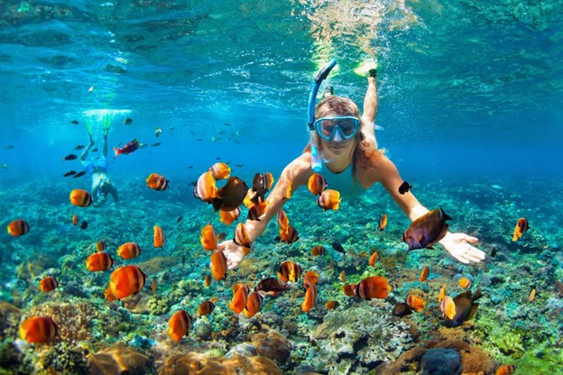 Freedivingstock