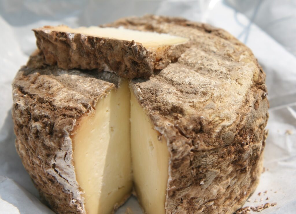 Hard Cheese