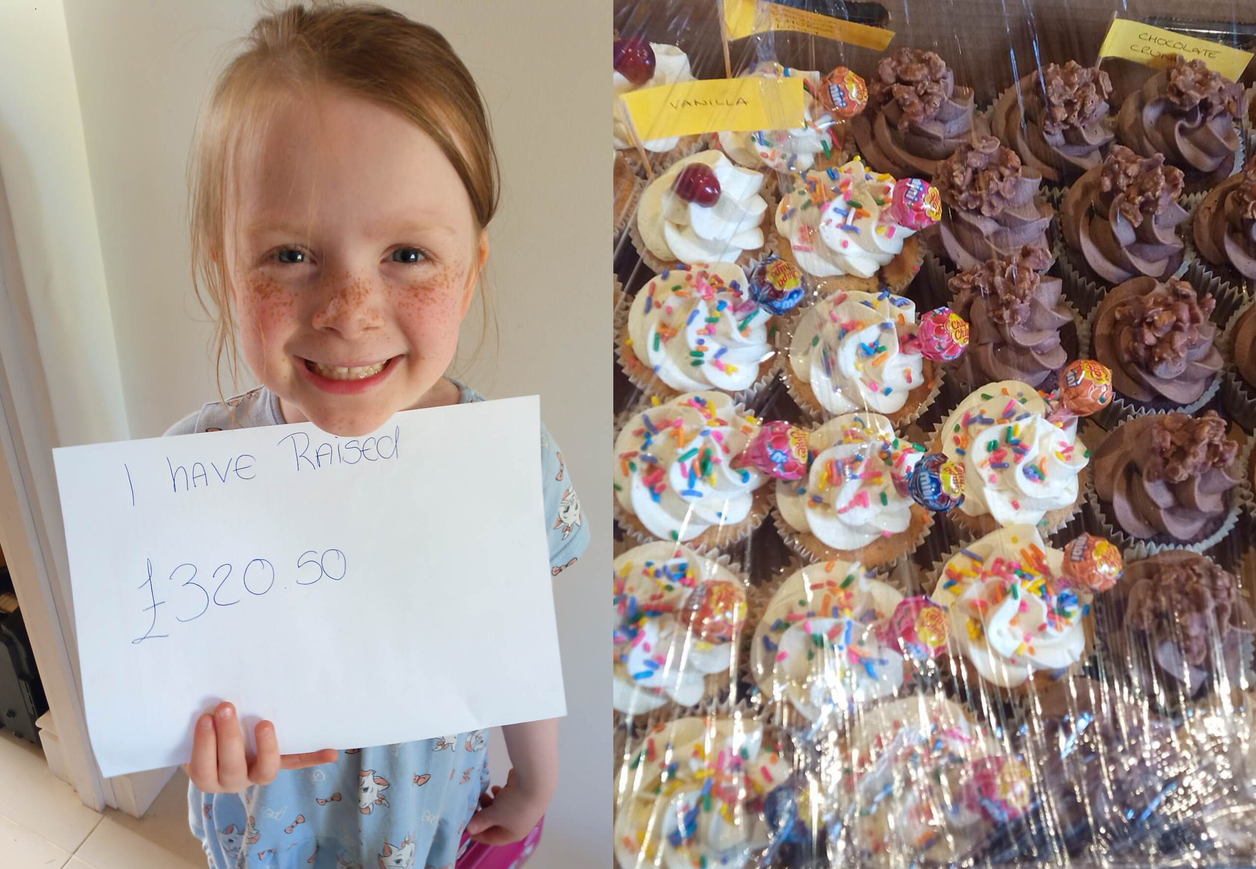 Quinnfundraiser