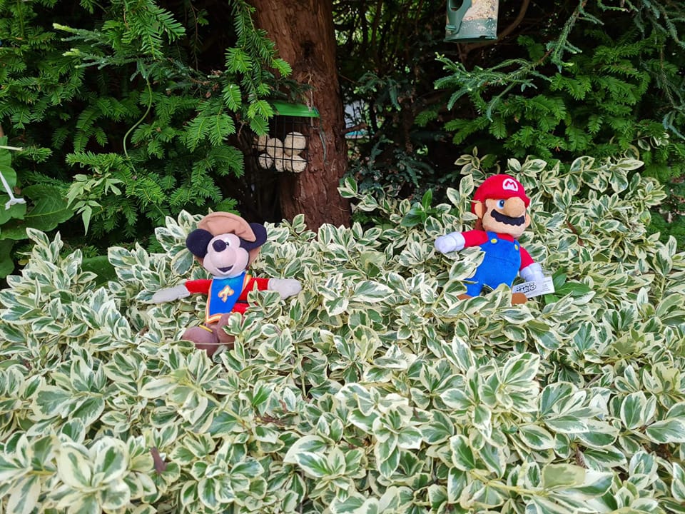 2 Of Gizmo's Finds