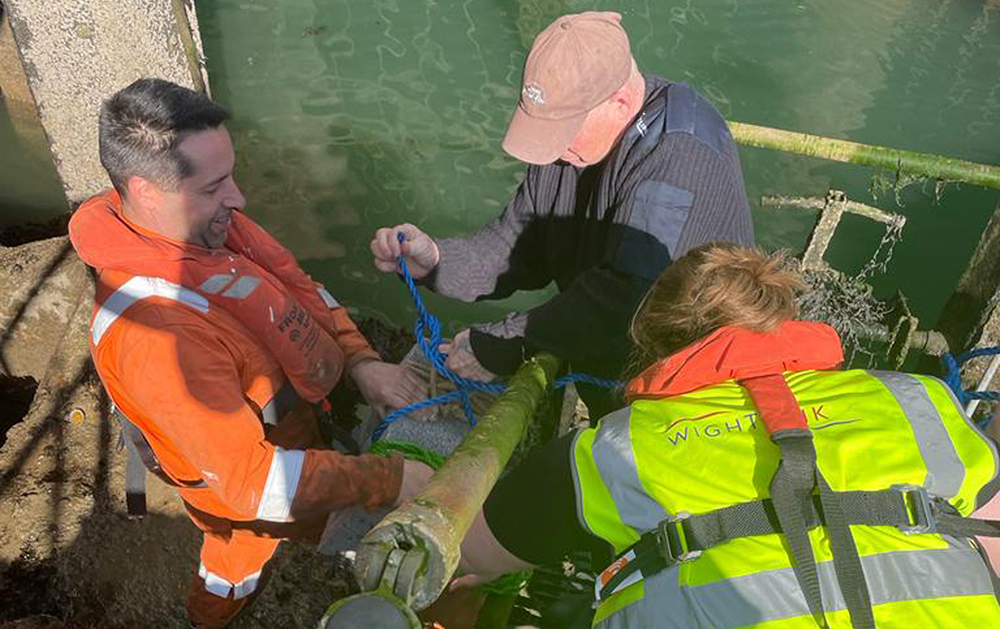 Wightlink Staff Assist With Emma's Cuttlefish Project (003)