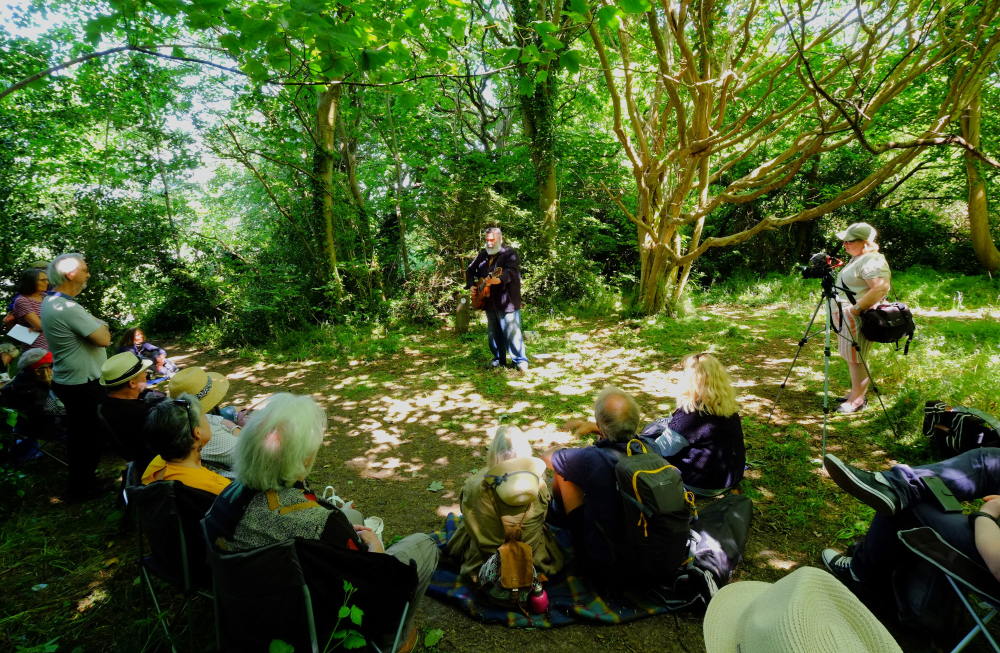 Audience Beneath Hazel - Credit Bob White