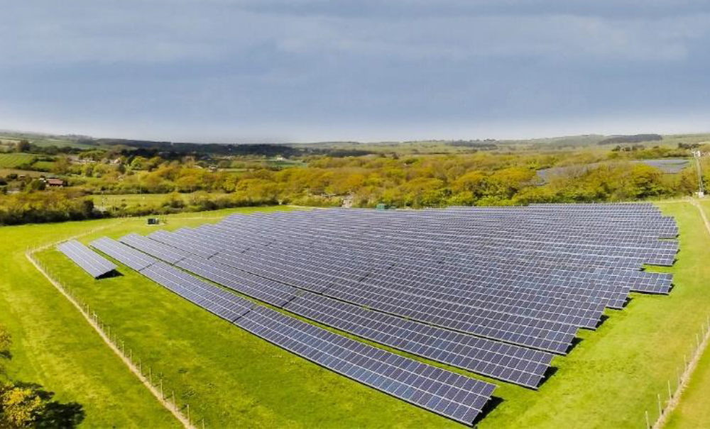 Homestead Solar Farm