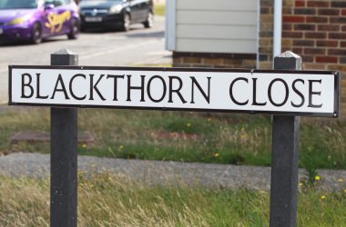Blackthorncloserydestock