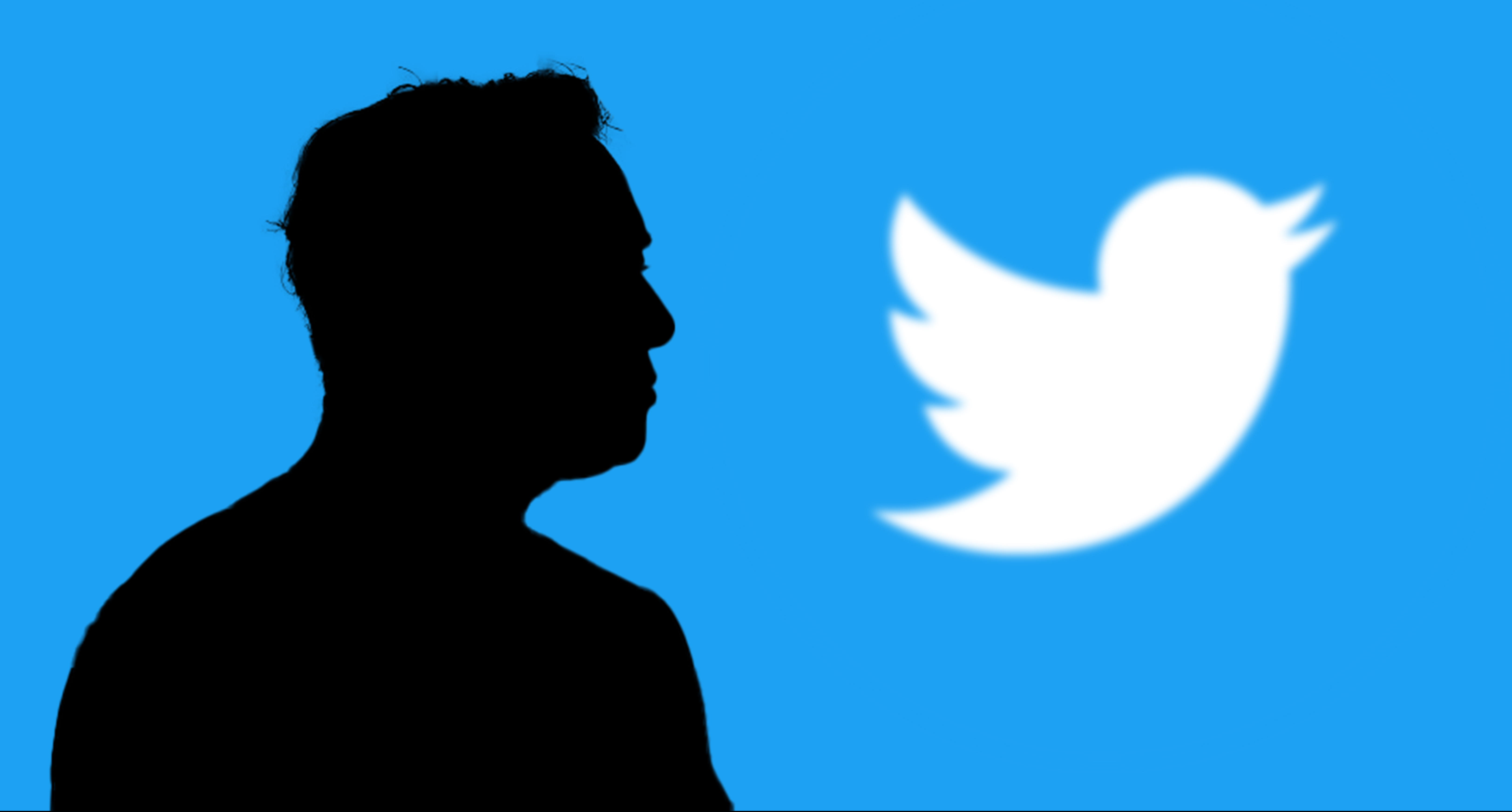 Elon Musk Shadow With Twitter Logo
