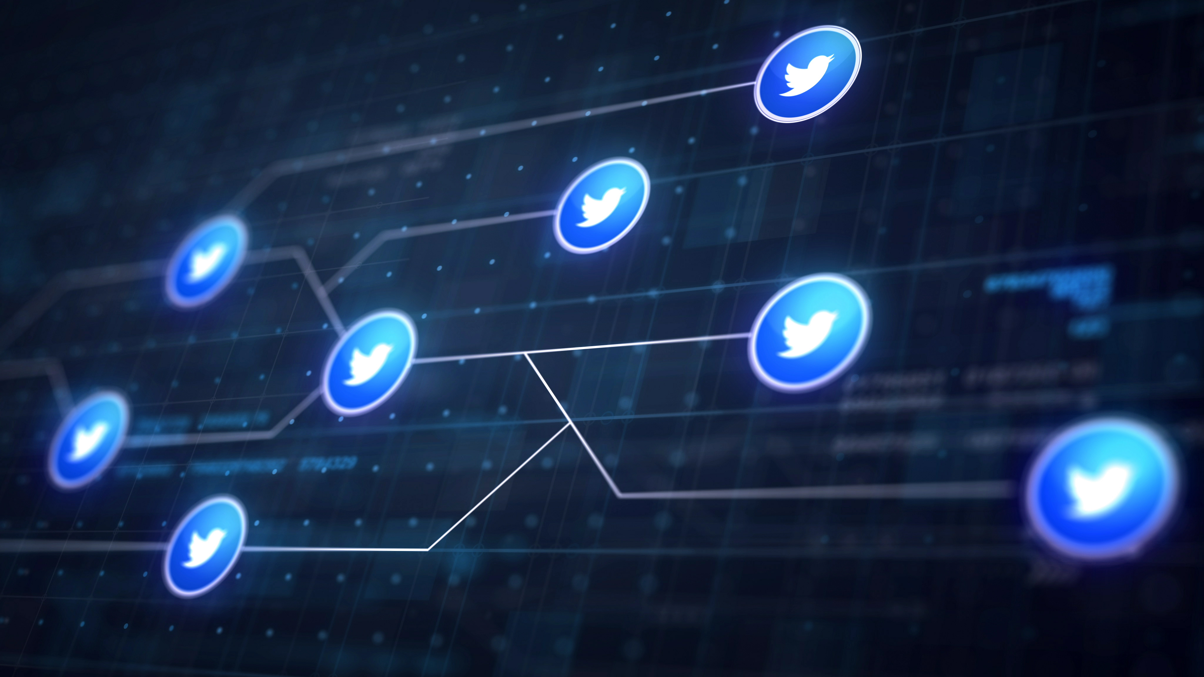 Twitter Icon Line Connection Of Circuit Board