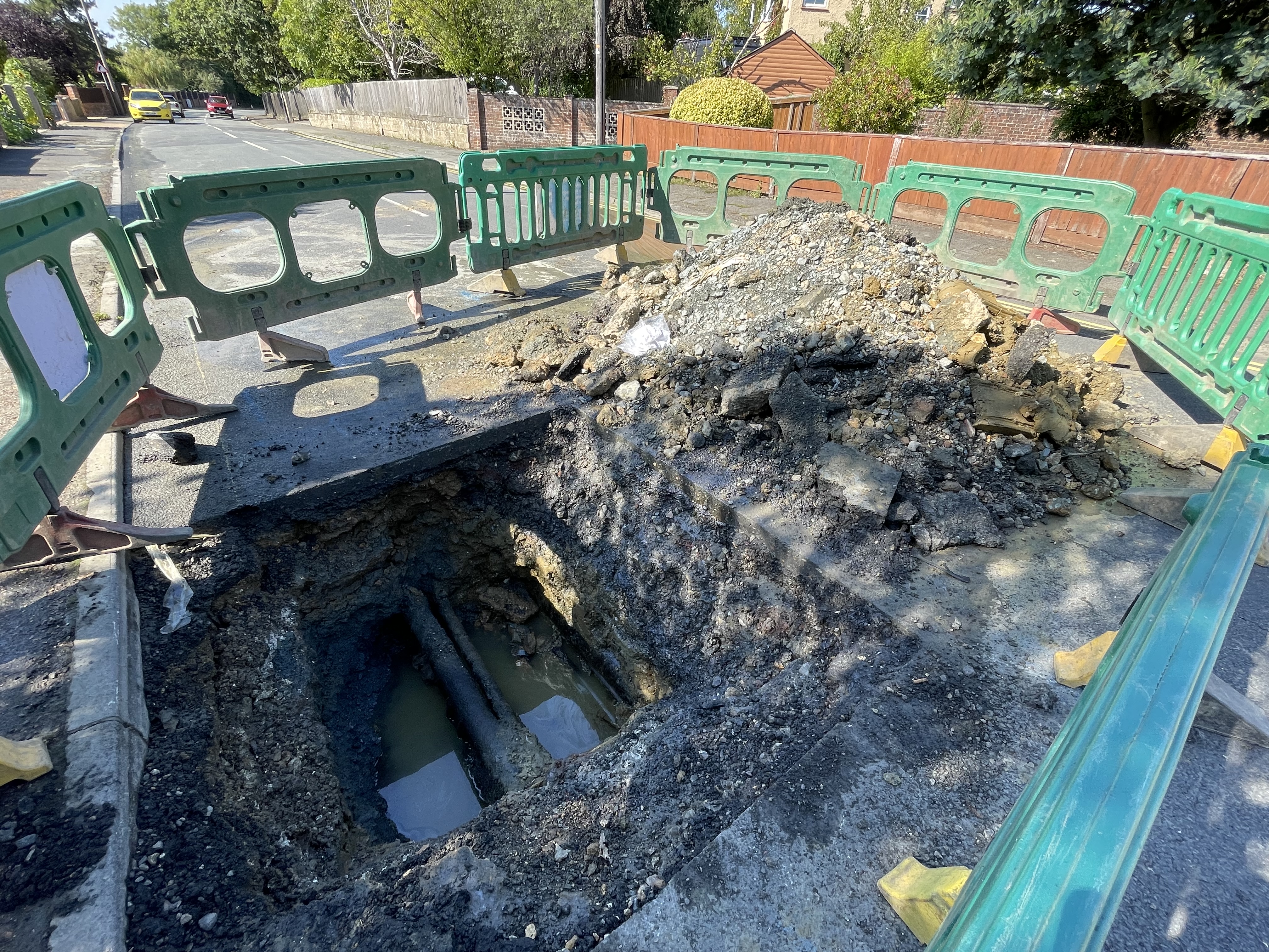 nettlestoneburstmain