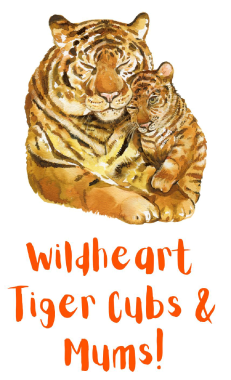 Tiger-cubs-mums (002)