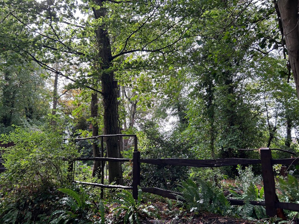 Bembridge Site For Nature (1)