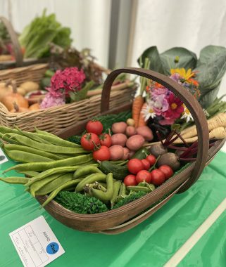 Harold Flower Show Veg In A Basket (002)