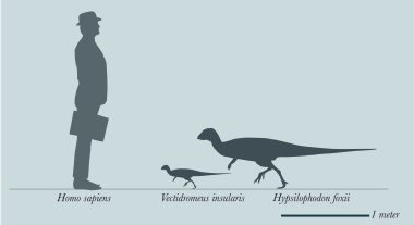 Vectidromeus Silhouette By Nick Longrich