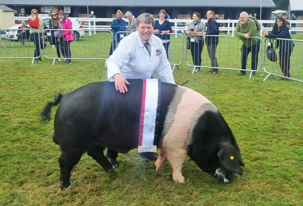 Pigbreederwin