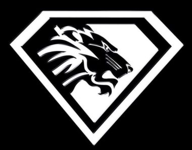 Lionsmuaythai