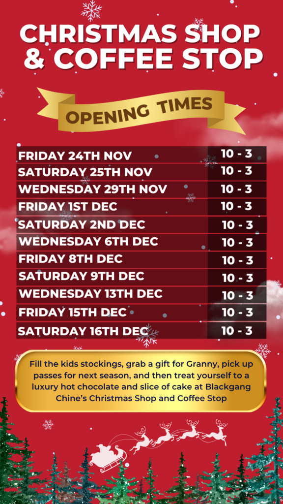 Xmas Shopping Opening Times (1)