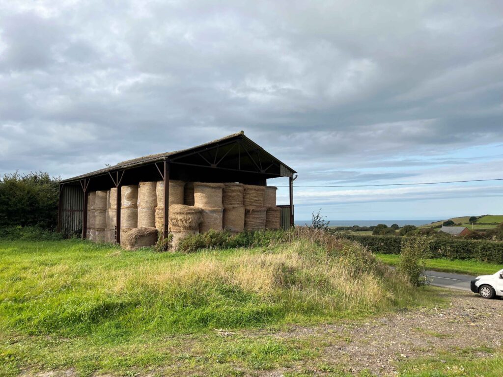 Lot 133 - Chale Barn, Chale Street, Chale, Ventnor, Isle Of Wight, Po38 2hf - Clive Emson Auctioneers - Auction Ending 13 December 2023