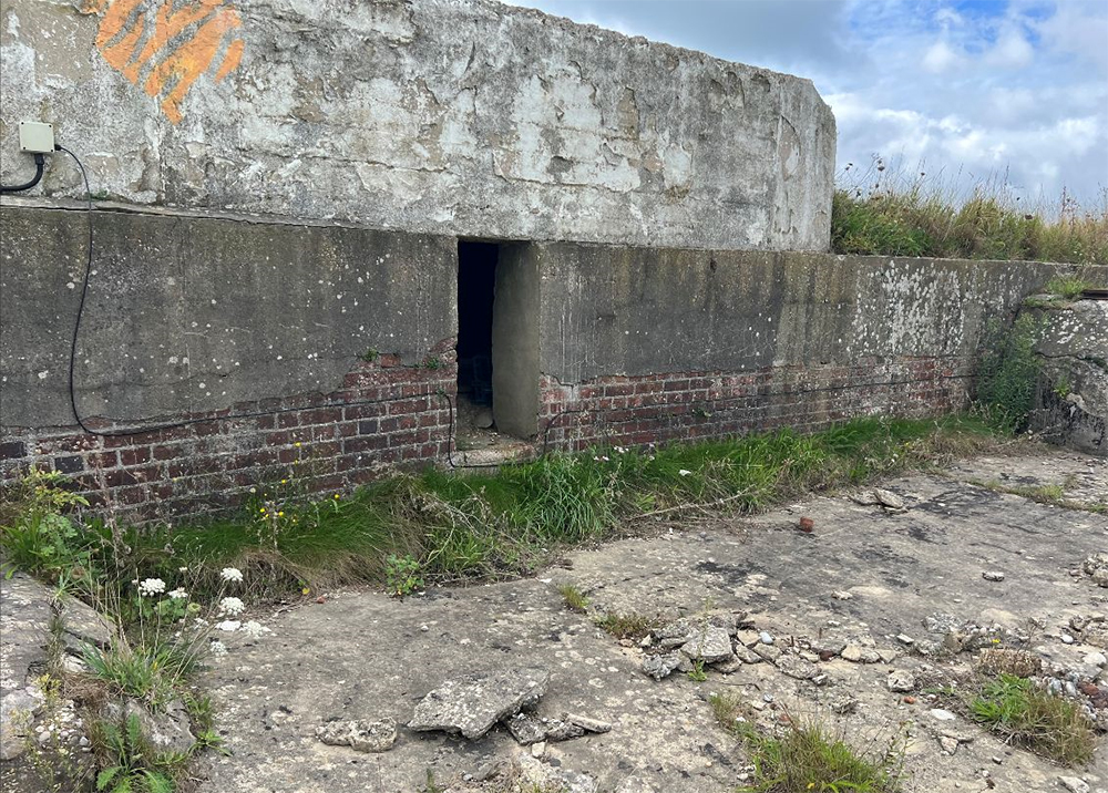WILDHEART TRUST SEEKS SUPPORT TO REGENERATE SANDOWN FORT Island Echo WILDHEART TRUST SEEKS SUPPORT TO REGENERATE SANDOWN FORT Island Echo