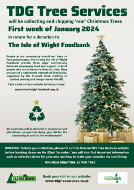 Treeposter1