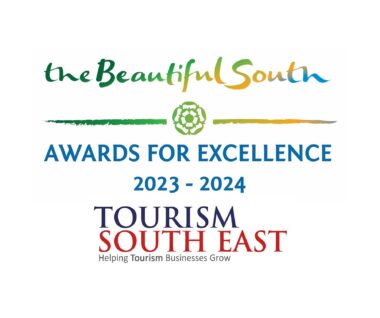 Beautiful South Awards With Tse