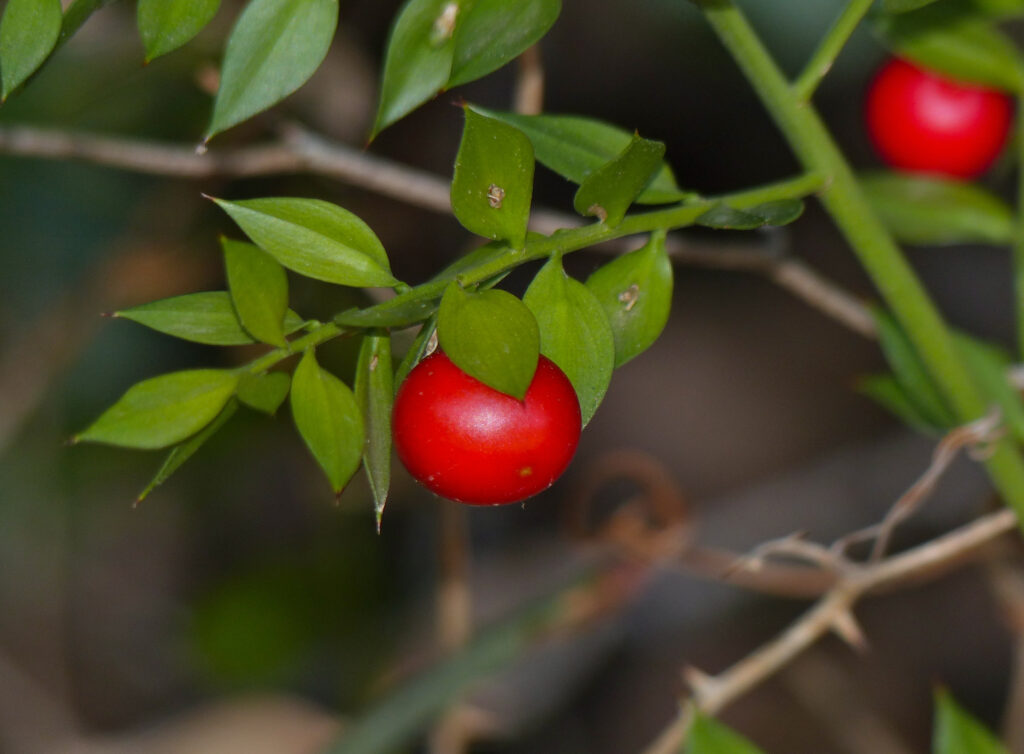 P1340127