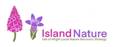 Islandnature