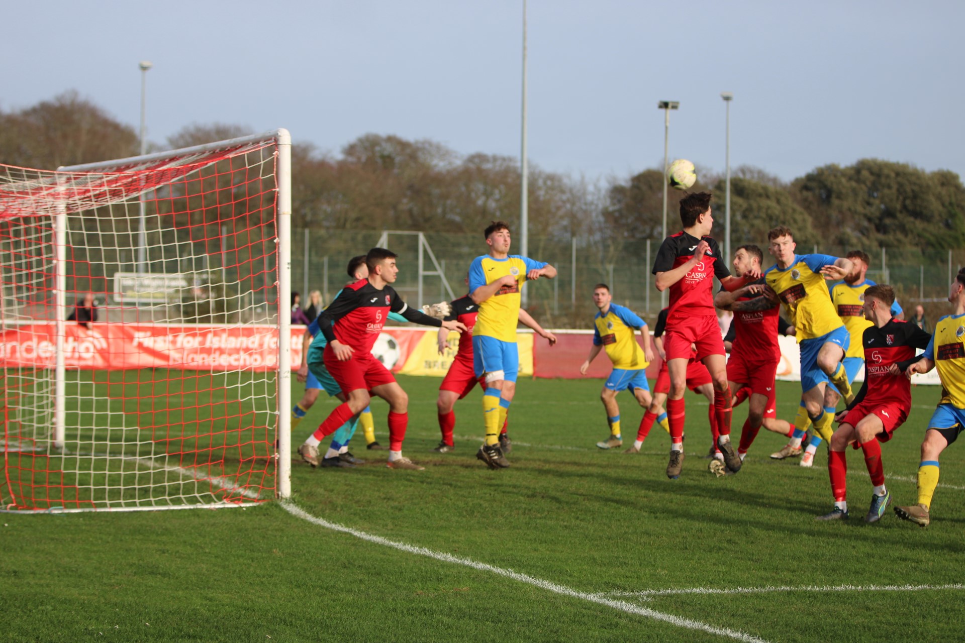 Newport V Verwood