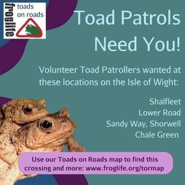 Toadpatrols2