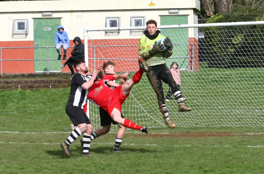 High Park V Niton (2)