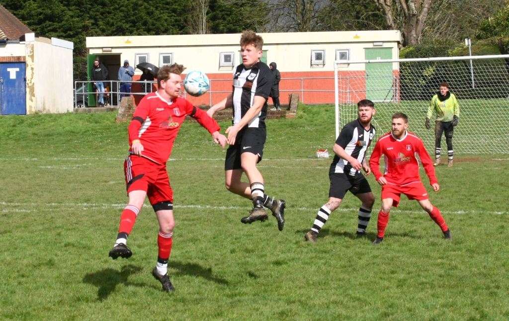 High Park V Niton (3)
