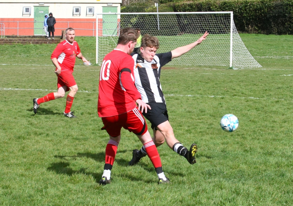 High Park V Niton (4)