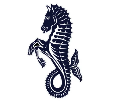 Isle-of-wight Rfc