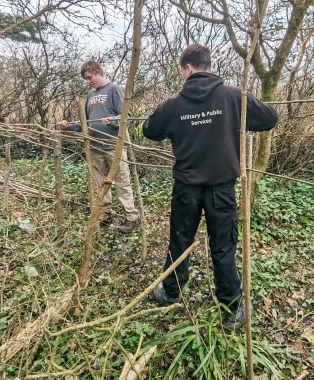 Work At Mill Copse With Wight Nature Fund - Students Construct A Fence From Coppiced Material