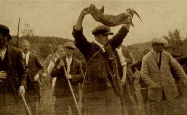 Otter Kill