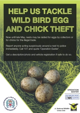Operation Easter Poster