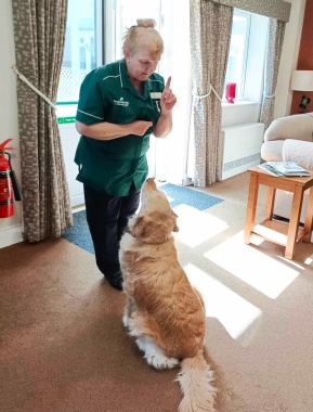 Therapy Dog 3