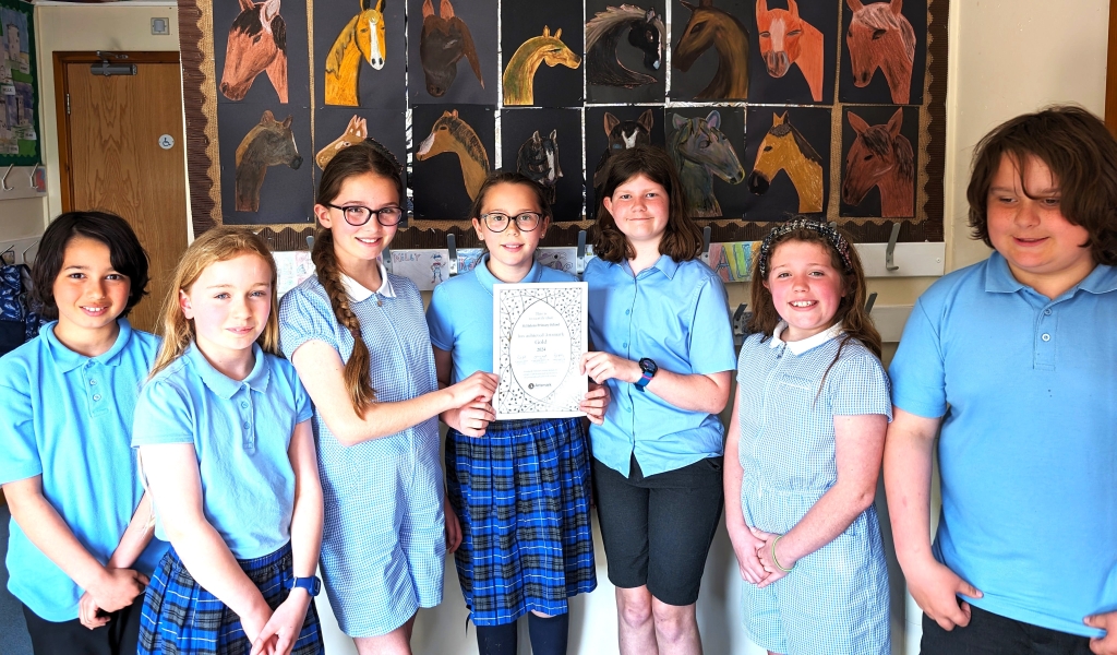 Pioneers Class- Yr 5 & 6 With Their War Horse Inspired Art