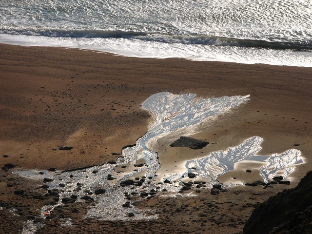 Beach At Whale Chine - Geograph.org.uk - 697948