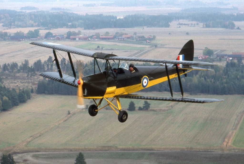 Dh 82a Tiger Moth - N81dh